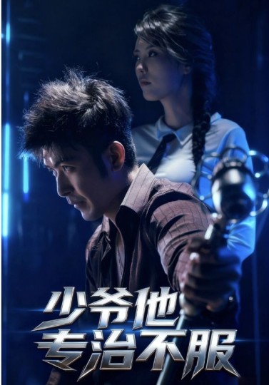 少爷他专治不服