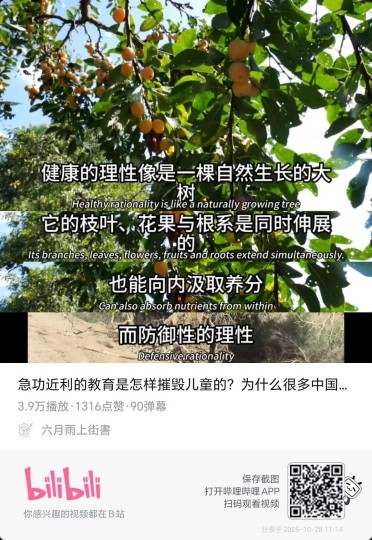 空心人梦女套皮文学